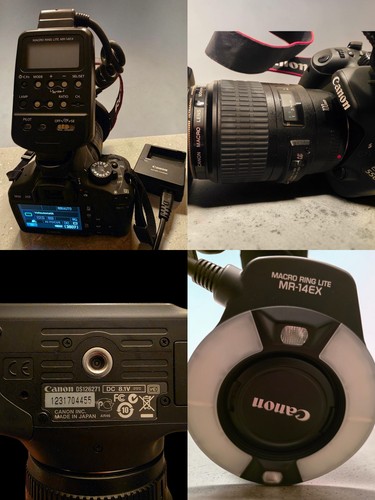 Canon eos 550d 100mm - +,