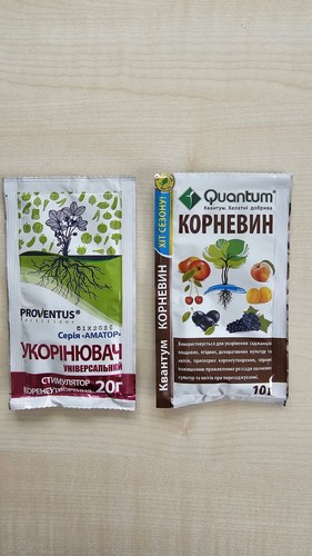 Bewurzelungspulver-SET