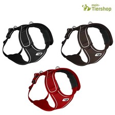 Curli Belka Air-Mesh