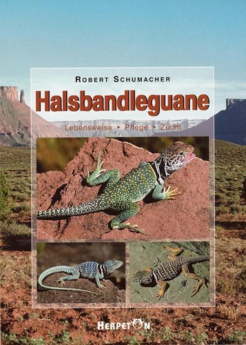 Halsbandleguane robert - halsbandleguane,