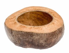 NaDeco Kokosschale halbiert im