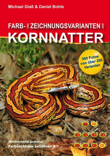 Farb und zeichnungsvarianten - farb-,