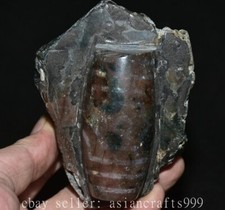 4" Alte Tibetische DZi Bead