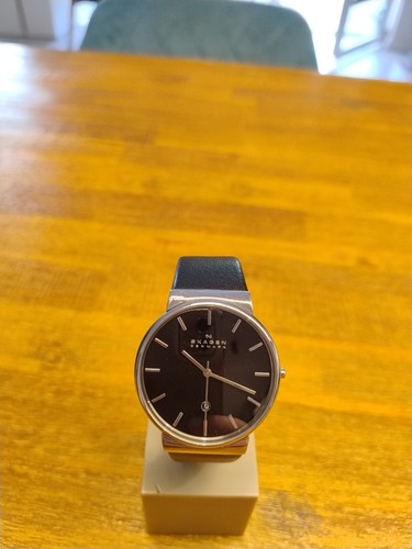 Skagen herren uhr - herren,