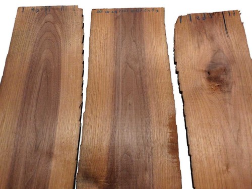 Nussbaum holz walnuss - 3x,