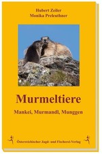 Murmeltiere | Hubert Zeiler