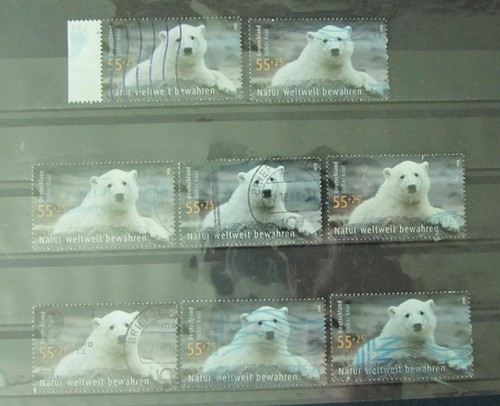 Eisbär knut brd - x,