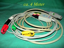 Marquette hellige ekg - marquette,