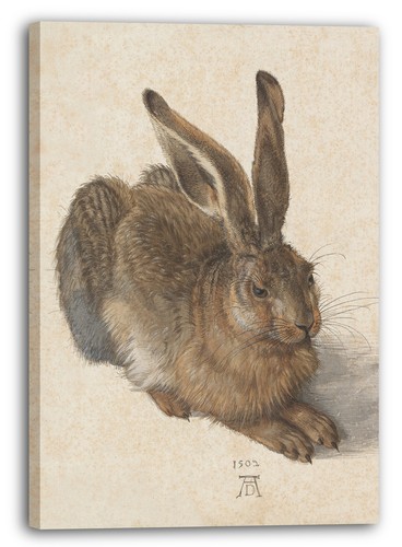 Kunstdruck albrecht dürer - kunstdruck,
