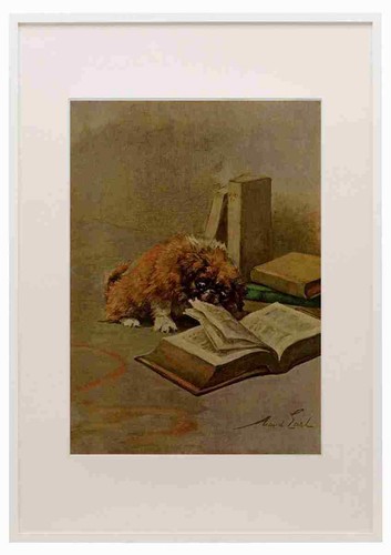 Graf maud 1864 1943 - graf,