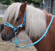 Minishetty trense reithalfter - trense,