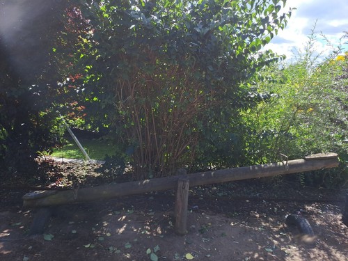 Wippe kinder holz - wippe,