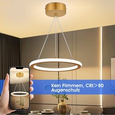 LED Ring Pendelleuchte