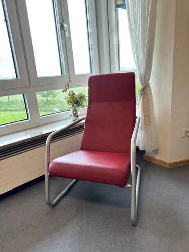 Freischwinger echtledersessel - freischwinger,
