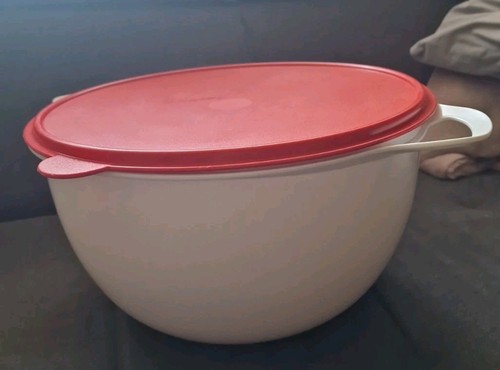 Tupperware maximilian - l,