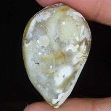 90.55 Cts Natürlich Schnecke