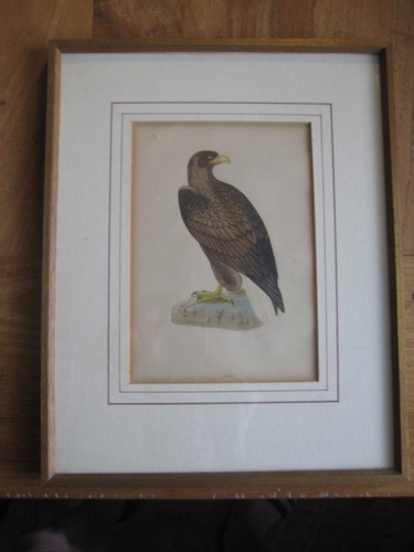 Original kupferstich - ,