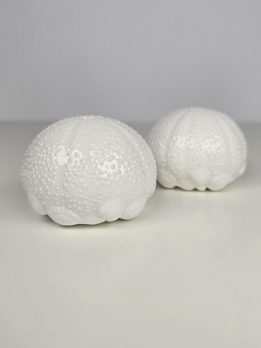 Tiffany vintage seeigel - tiffany,