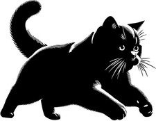 BRITISCH KURZHAAR Aufkleber - sticker -Katzenaufkleber - Autoaufkleber  #81