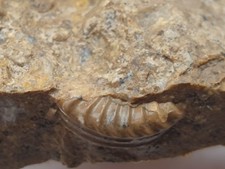 Unpräp. außergewöhnlicher