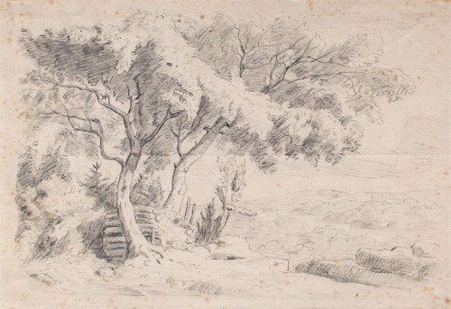 Landschaft baumstudie natur - baumstudie,