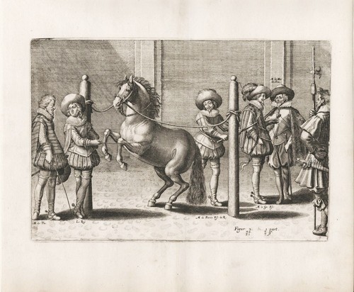 Reitschule riding school pferd - riding,