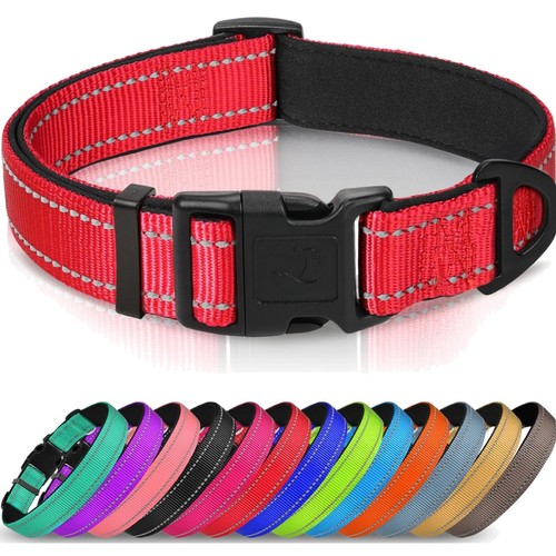 Hund halsband gepolstert - halsband,