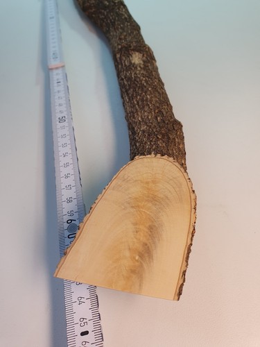 Stamm drechselholz buchsbaum - 1,