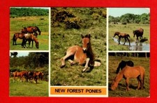 04150/121   Postcard  NEW