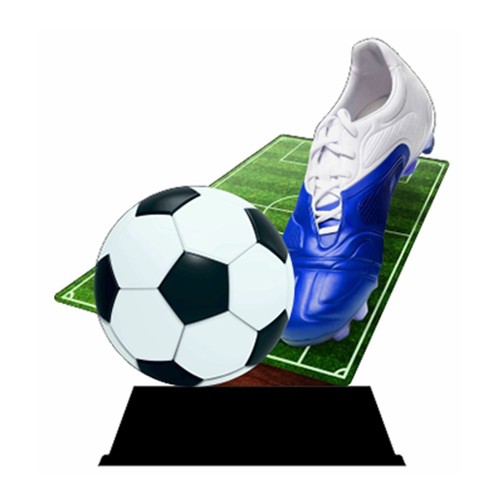 Ehrenpreis fußball inklusiv - ehrenpreis,