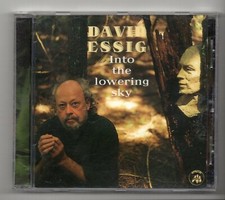 (JY269) David Essig, Into The