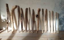 Treibholz Schwemmholz