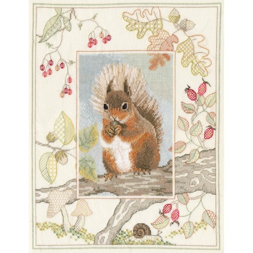 Wildlife rotes eichhörnchen - -,