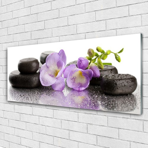 Acrylglasbilder wandbilder aus - acrylglasbilder,