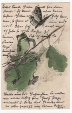 AK Tiere,  Frosch sitzt auf Zweig und beobachtet Schmetterling