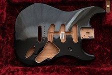 Fender Stratocaster Alder Body