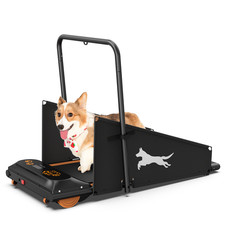 Dog Treadmill Small Dogs - Dog