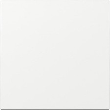 Gira 029603 System 55