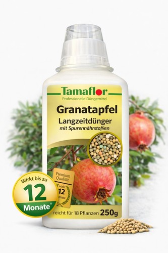 Dünger granatapfel - dünger,