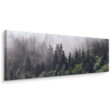 Panoramabild Canvas Wald im