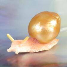 Südsee Barock Perle & Geschnitzter Aprikosenfarben Syrix Trompete Muschel