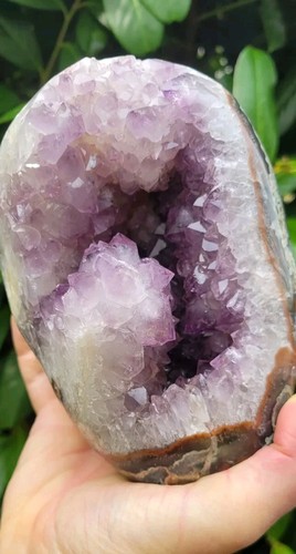 Amethyst druse - ,