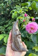 Versteinertes Holz Mond Gravur