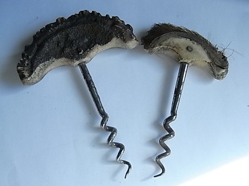 Antike korkenzieher horn - 2,