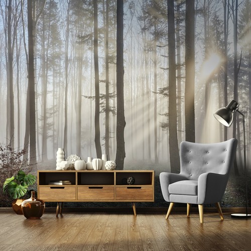 Wald nebel fototapete aus - wald,