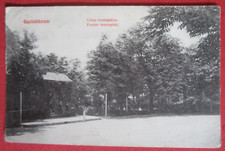 Orig. Pk. Alba Iulia