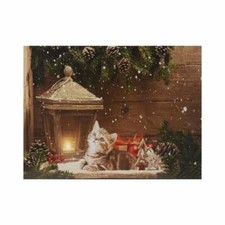 Leinwand mit Beleuchtung 1