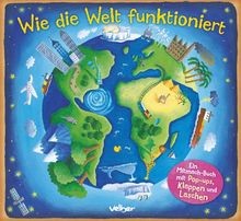 Wie die Welt funktioniert: Ein Mitmach-Buch mit P... | Buch | Zustand akzeptabel