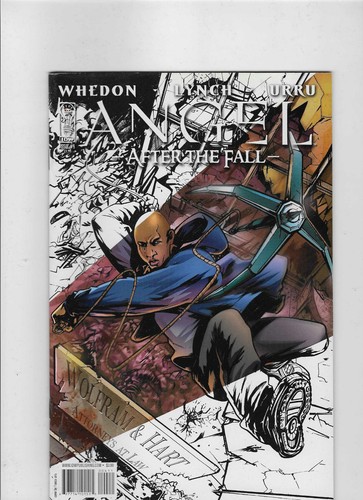 Angel after the fall cover - angel,