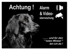 Hovawart-Hund-Alarm+Video
